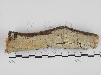 登錄號:F0027694藏品圖，第1張