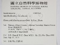 登錄號:F0027696藏品圖，第2張