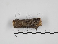 登錄號:F0027696藏品圖，第1張