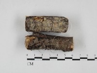登錄號:F0027696藏品圖，第3張