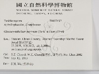 登錄號:F0027697藏品圖，第2張