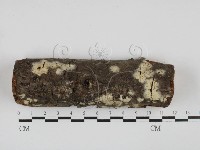 登錄號:F0027697藏品圖，第1張