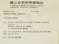 登錄號:F0027700藏品圖，第2張