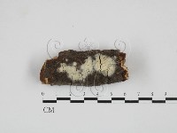 登錄號:F0027701藏品圖，第1張