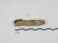 登錄號:F0027704藏品圖，第1張