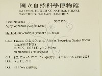 登錄號:F0027706藏品圖，第2張