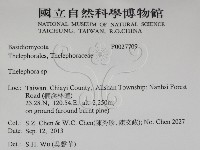 革菌屬藏品圖，第2張
