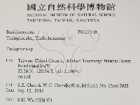 革菌屬藏品圖，第2張