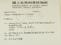 集毛菌屬藏品圖，第2張