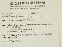 煙管菌藏品圖，第2張