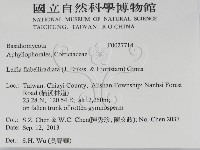 登錄號:F0027714藏品圖，第2張