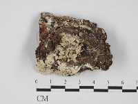 登錄號:F0027714藏品圖，第1張