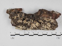 登錄號:F0027714藏品圖，第3張