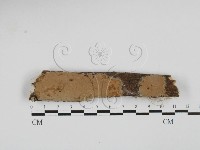 登錄號:F0027721藏品圖，第1張