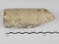 登錄號:F0027722藏品圖，第1張
