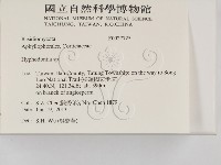 絲齒菌屬藏品圖，第2張