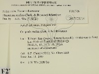 登錄號:F0027726藏品圖，第2張