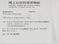 登錄號:F0027730藏品圖，第2張