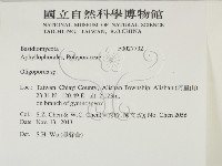 寡孔菌屬藏品圖，第2張