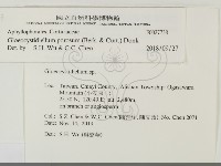 登錄號:F0027738藏品圖，第2張