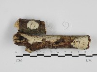 登錄號:F0027738藏品圖，第1張