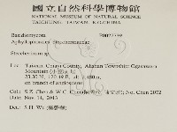 齒耳菌屬藏品圖，第2張