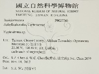 絲皮菌屬藏品圖，第2張