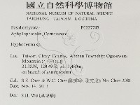 絲皮菌屬藏品圖，第2張