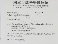 顯絲菌屬藏品圖，第2張