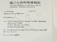 絲齒菌屬藏品圖，第2張