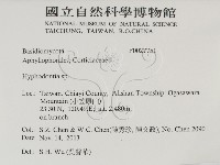 絲齒菌屬藏品圖，第2張