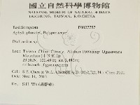 登錄號:F0027757藏品圖，第2張