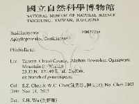 登錄號:F0027758藏品圖，第2張