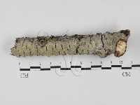 登錄號:F0027759藏品圖，第3張