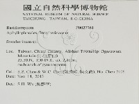 齒耳菌屬藏品圖，第2張