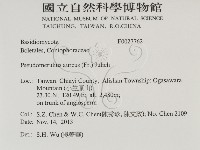 登錄號:F0027762藏品圖，第2張