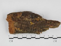 登錄號:F0027762藏品圖，第1張