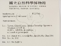 絲齒菌屬藏品圖，第2張