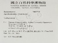 附毛菌屬藏品圖，第2張