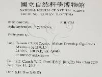 附毛菌屬藏品圖，第2張