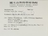 登錄號:F0027767藏品圖，第2張