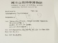 容氏菌屬藏品圖，第2張