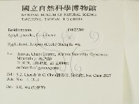 登錄號:F0027769藏品圖，第2張