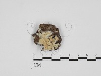 登錄號:F0027769藏品圖，第1張