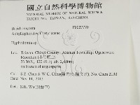 絲齒菌屬藏品圖，第2張