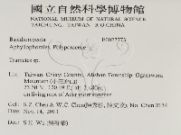 栓菌屬藏品圖，第2張