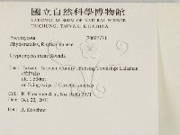 登錄號:F0027774藏品圖，第2張