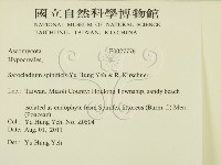 登錄號:F0027776藏品圖，第2張