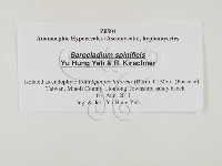 登錄號:F0027776藏品圖，第3張