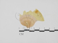 登錄號:F0027776藏品圖，第1張
